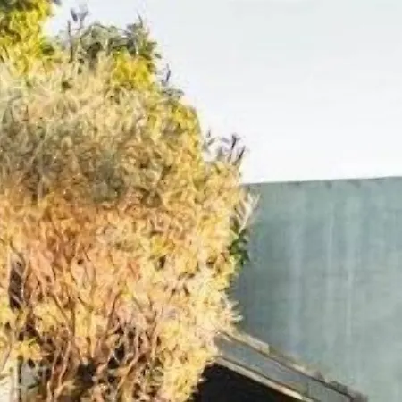 Hotel Albhotel Fortuna